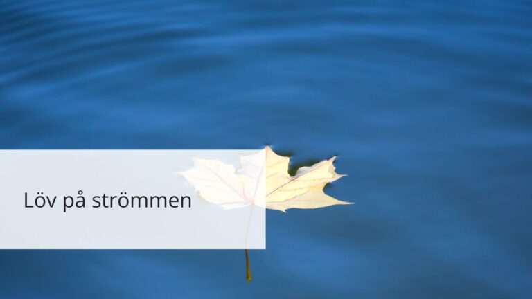 Löv på strömmen