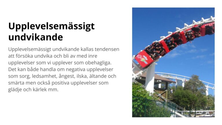 Upplevelsemässigt undvikande
